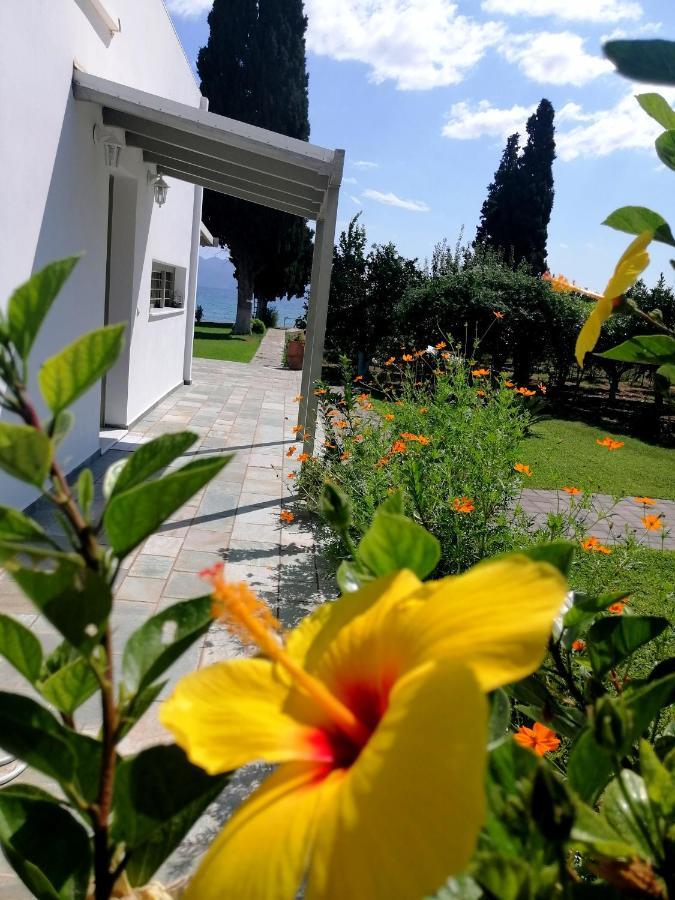 Villa Maria Epidaurus Esterno foto