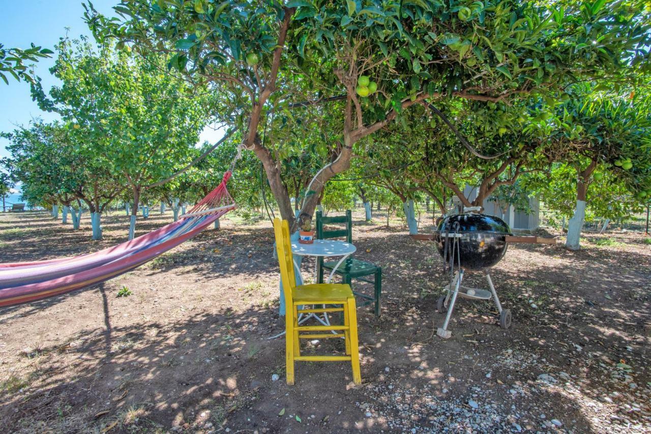 Villa Maria Epidaurus Esterno foto